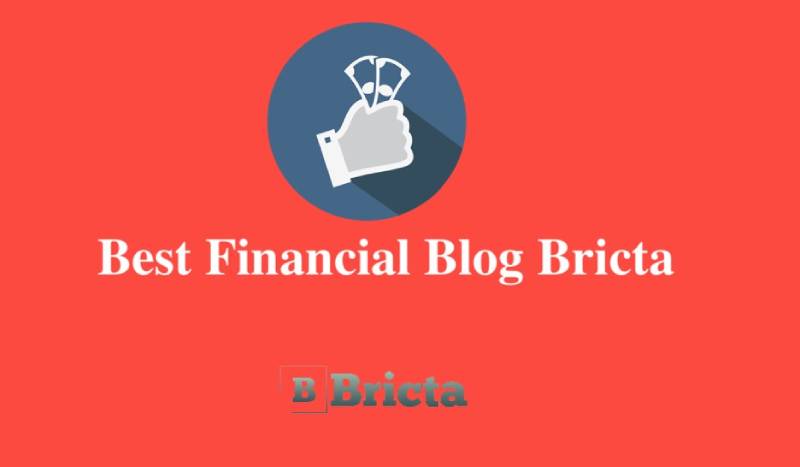 Best Financial Blog Bricta