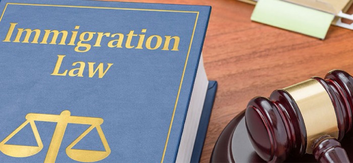 The Reasons Why You Might Need an Immigration Law Attorney.