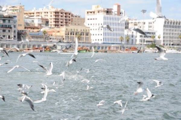 Port Said: A Trading Hub and Tourist Spot on the Mediterranean Sea in Egypt