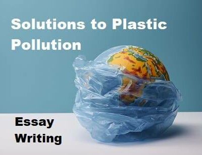 As World Environment Day highlights solutions to plastic pollution, creativity abounds.