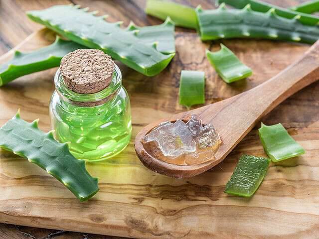 Aloe vera is a common houseplant that has healing properties for the skin