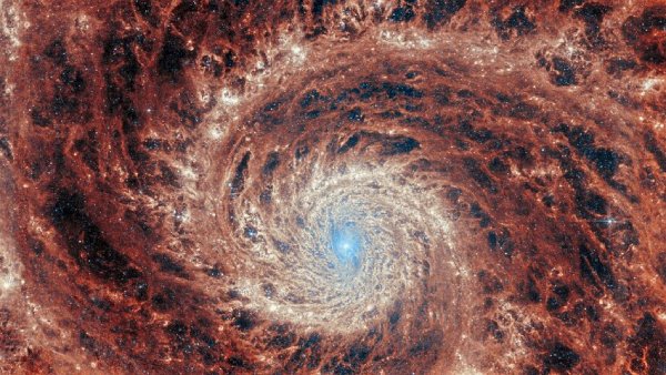 JWST Enchants with Mesmerizing View of Whirlpool Galaxy