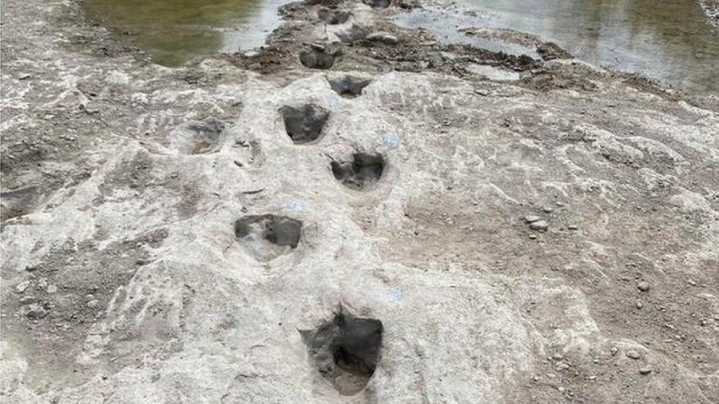 Drought in a Texas state park unveils one of the longest dinosaur tracks in the entire globe