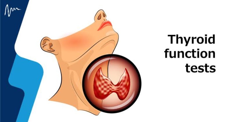 Thyroid Function Testing- Unveiling the Secrets of Your Metabolism