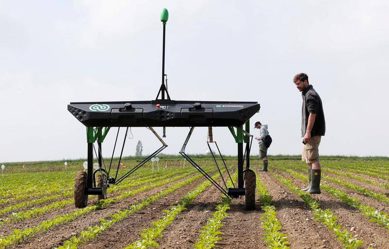 Aigen, an agricultural technology startup specializing in solar-powered robots for weed control, secures a $12 million investment