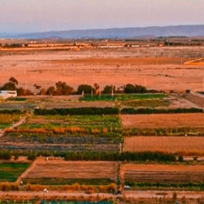 This Moroccan business is cultivating crops in a desert