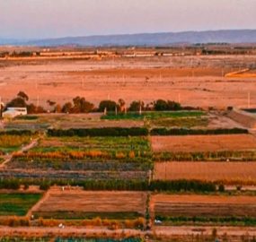 This Moroccan business is cultivating crops in a desert