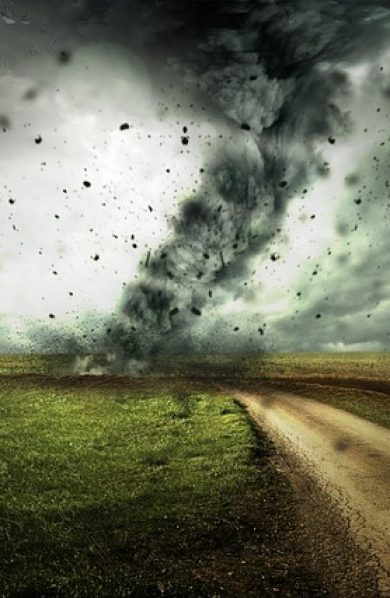 5 Lucrative Career Options in Disaster Management